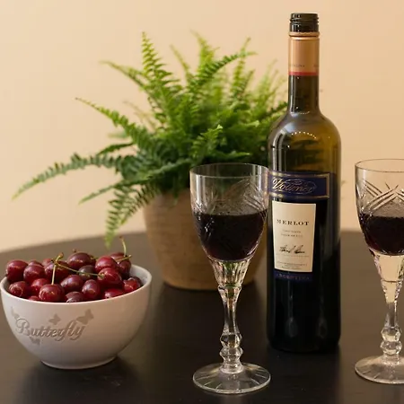 Rox 2 شقة تيميشورا